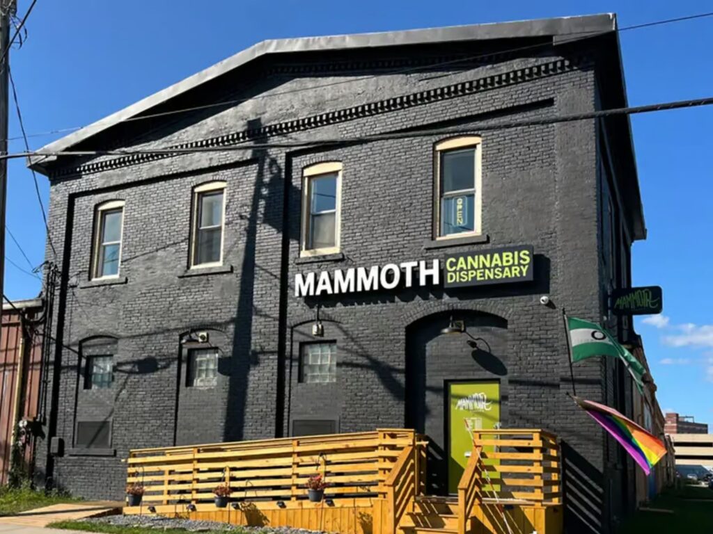 Mammoth Cannabis